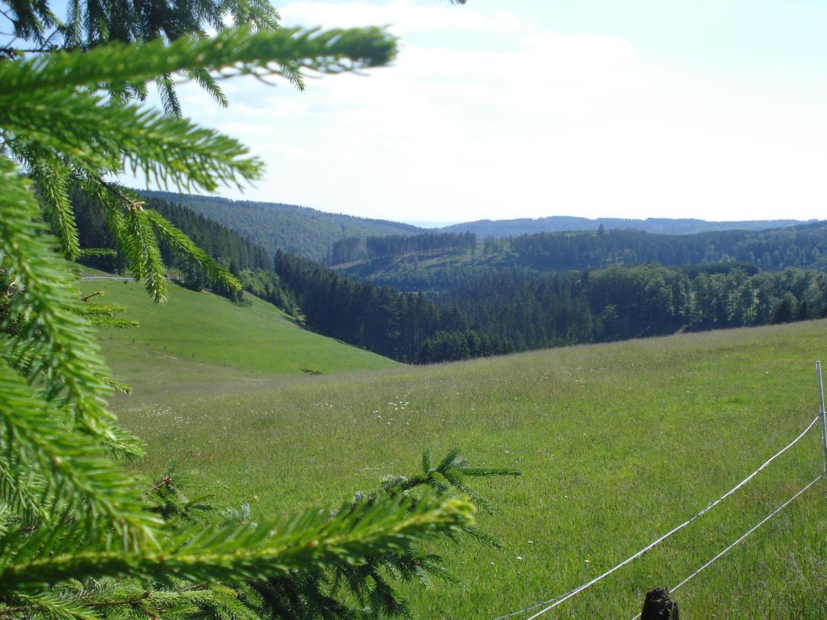 B&B All Seasons Winterberg Exterior foto